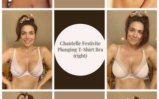 Marvell Lane Review Panache and Chantelle Plunge Bras