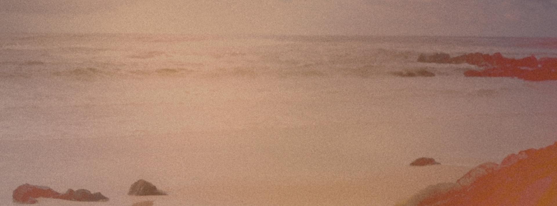 SUBSCRIBER FLASH SALE