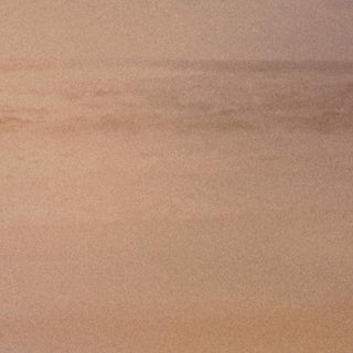 SUBSCRIBER FLASH SALE